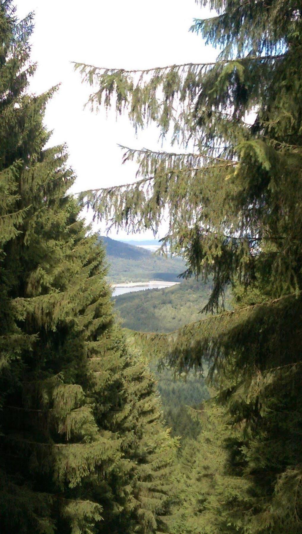 Hotel Berghof Am See Lautenthal Exteriör bild