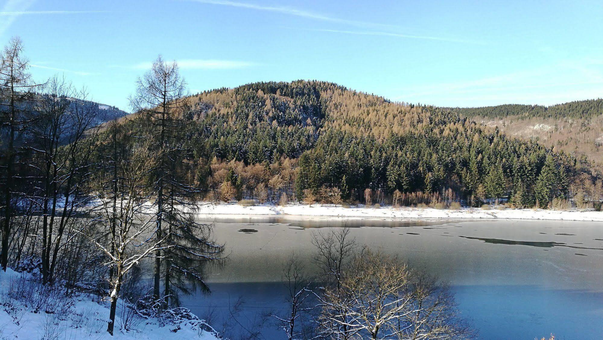 Hotel Berghof Am See Lautenthal Exteriör bild