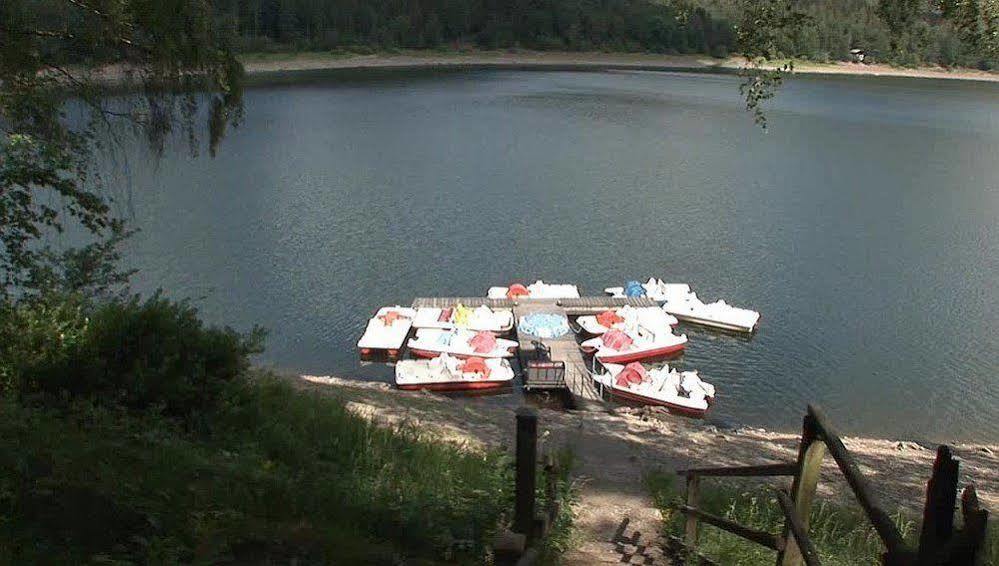 Hotel Berghof Am See Lautenthal Exteriör bild